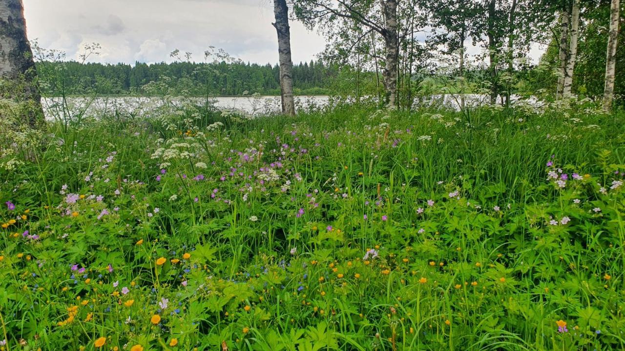 Viihtyisae Kolmio Jaerven Rannalla Haapavesi Zewnętrze zdjęcie